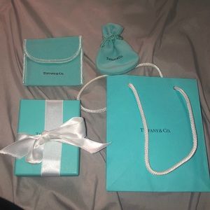 Tiffany & Co bag, box, pouch, and cleaning pouch